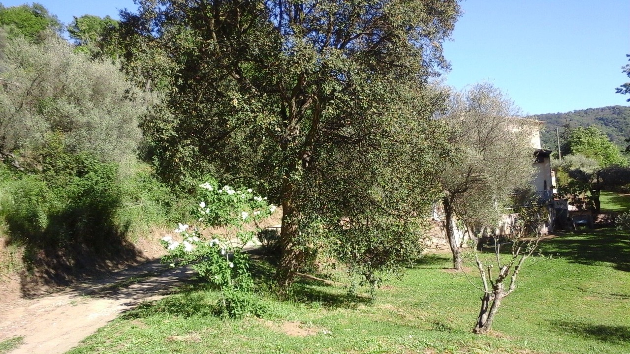 Photo of Outdoor in Collobrieres