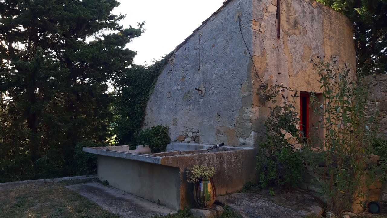 Photo of Outdoor in Orange