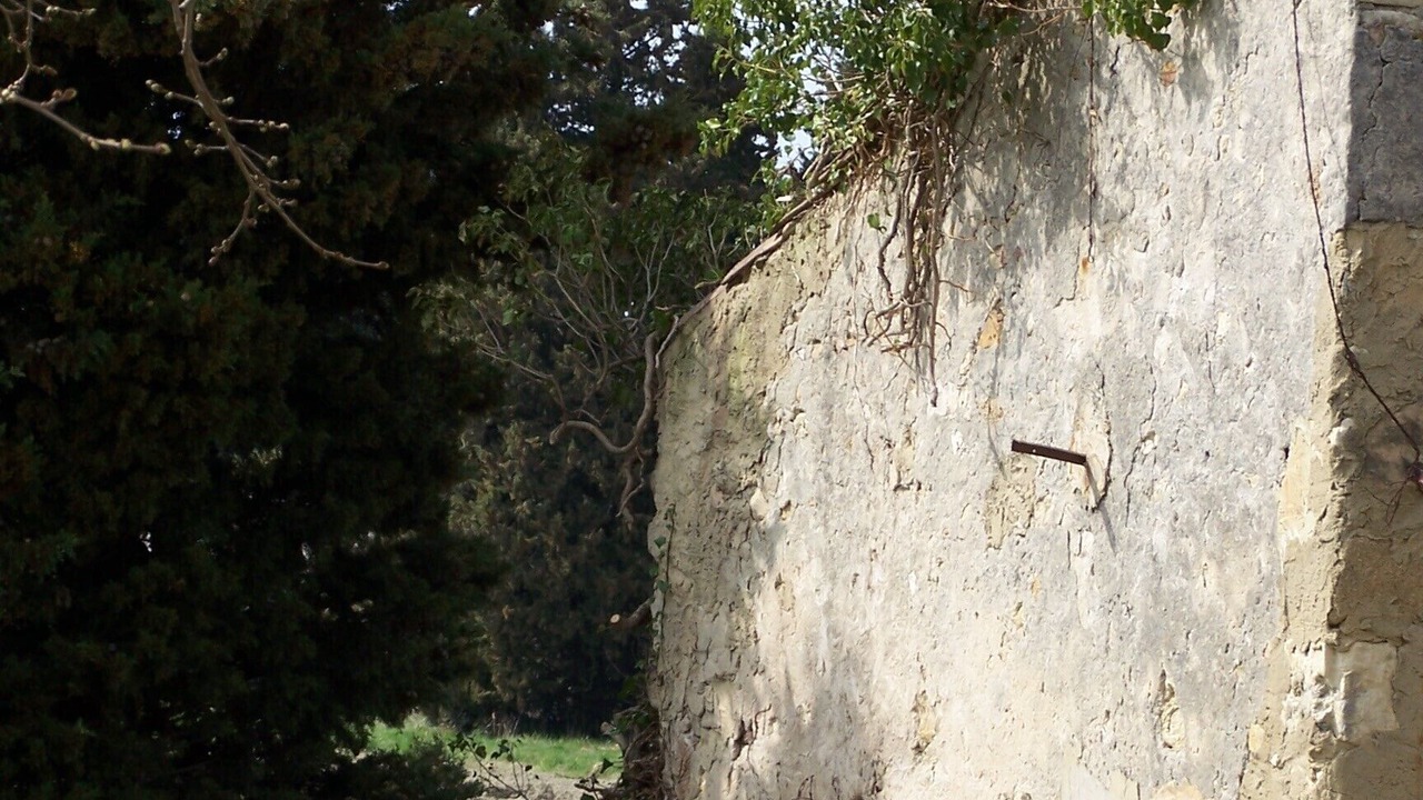 Photo of Outdoor in Orange