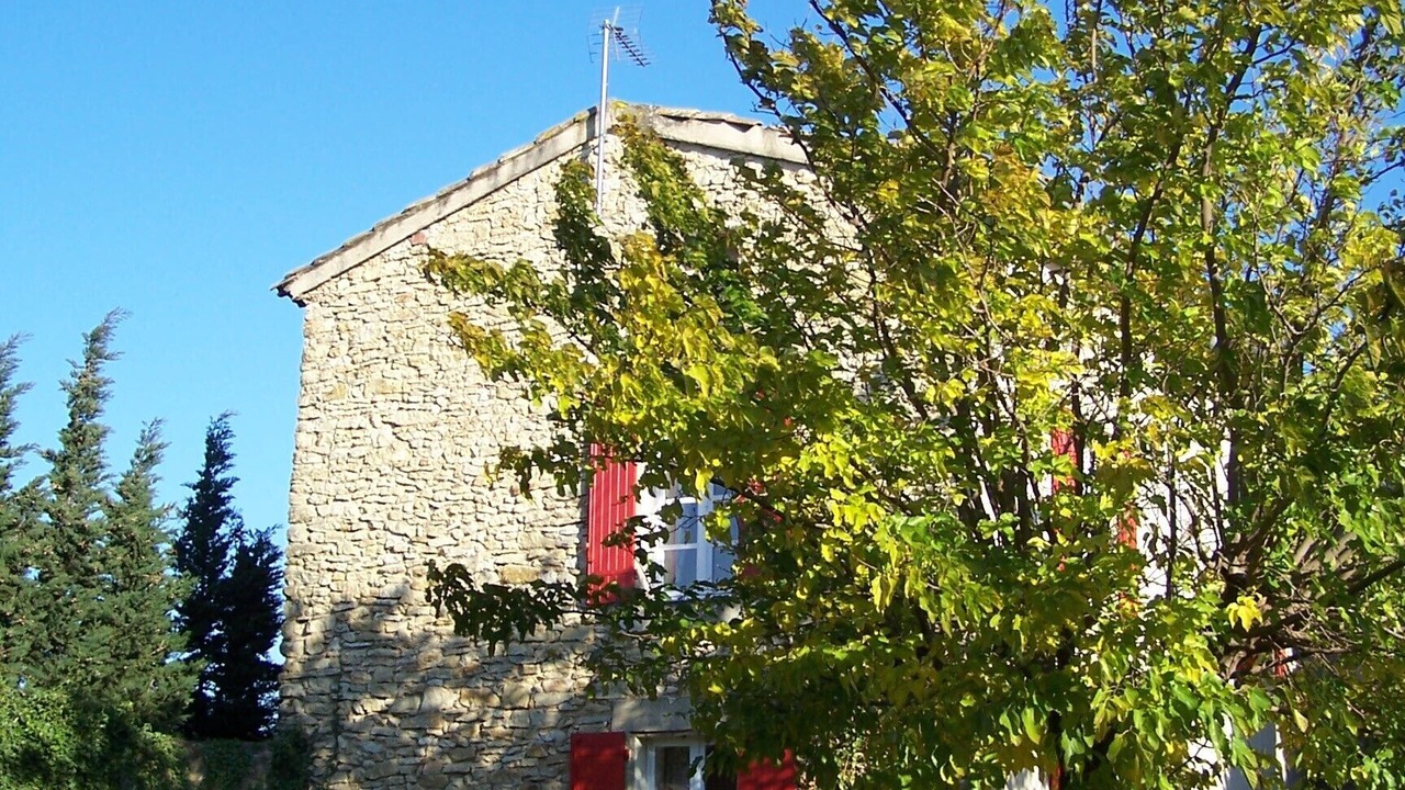 Photo of Outdoor in Orange