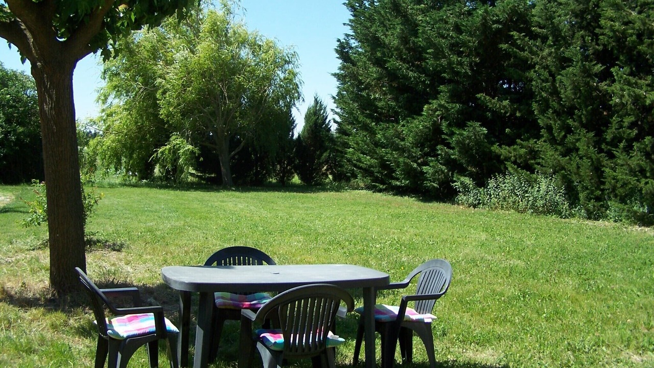 Photo of Outdoor in Orange