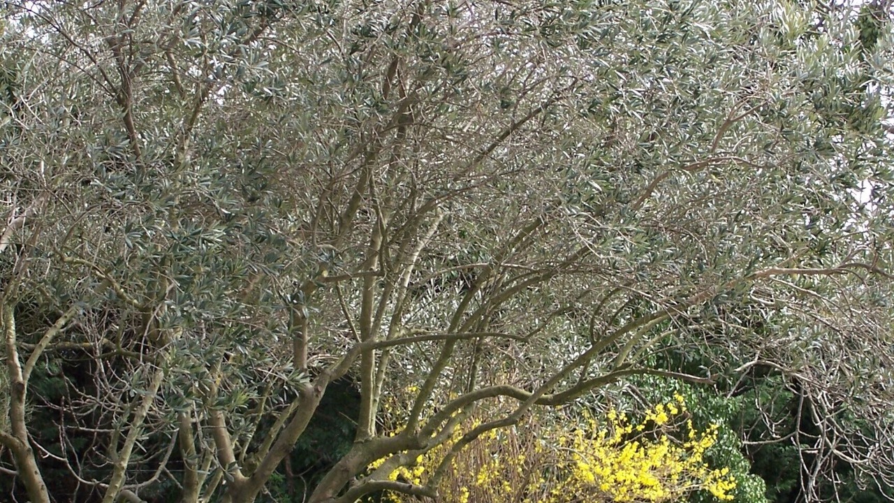 Photo of Outdoor in Orange