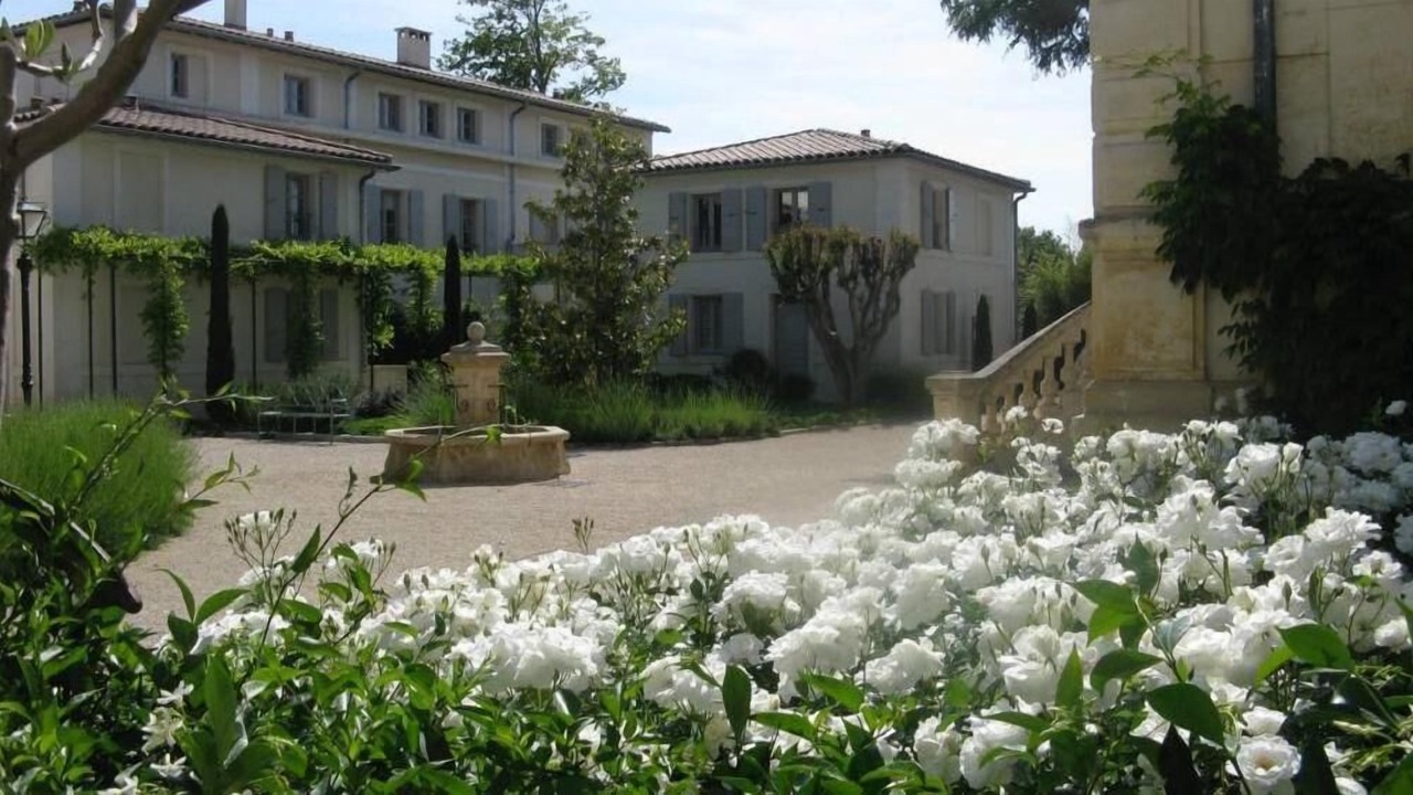 Photo of Others in St.-Remy-de-Provence