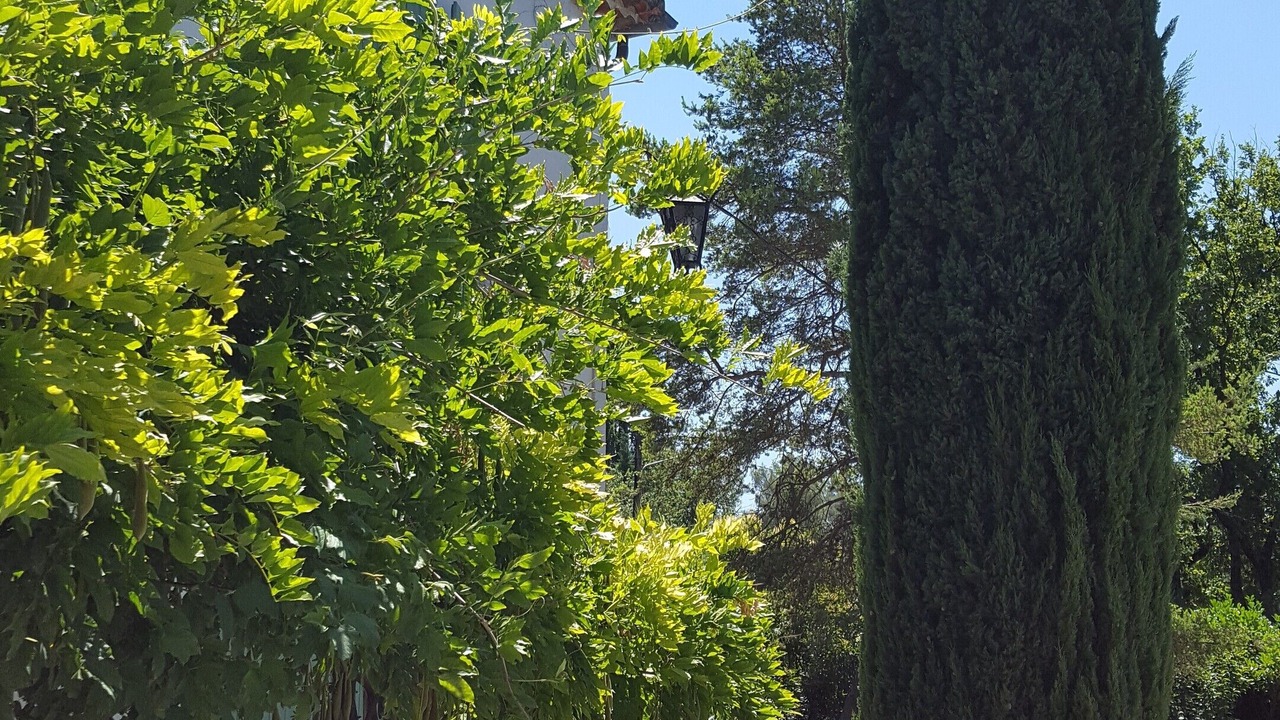 Photo of Others in Pierrevert