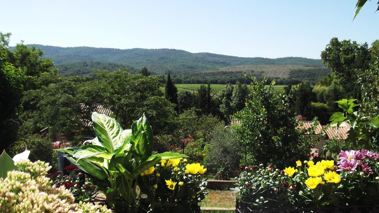 Photo of Outdoor in Montfort-sur-Argens