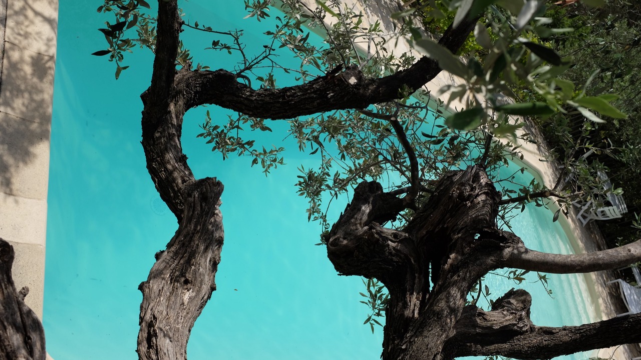 Photo of Outdoor in Seillans