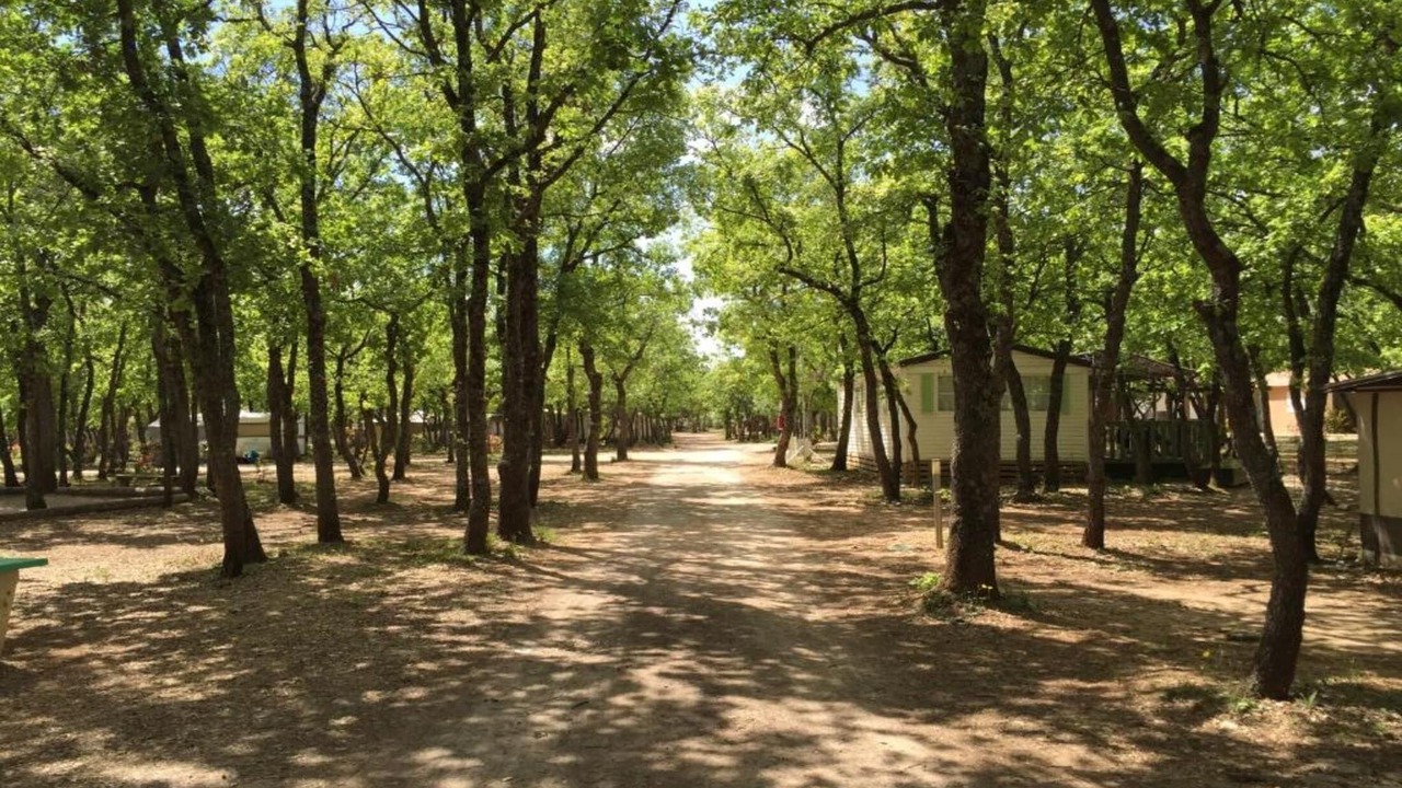Photo of Others in Saint-Saturnin-les-Apt