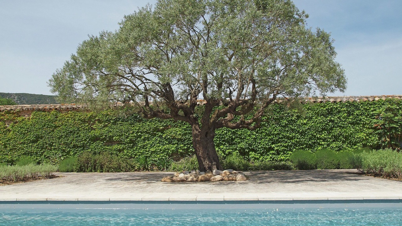 Photo of Outdoor in Oppede
