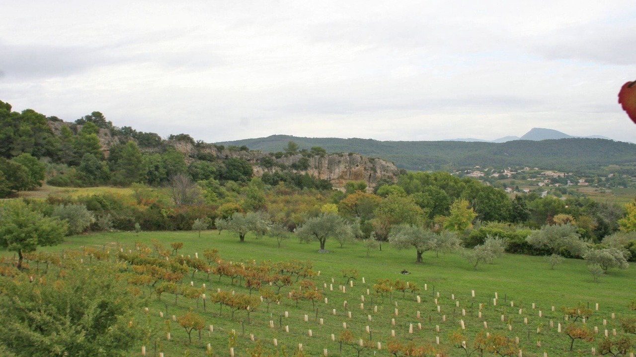Photo of Others in Vaison-la-Romaine