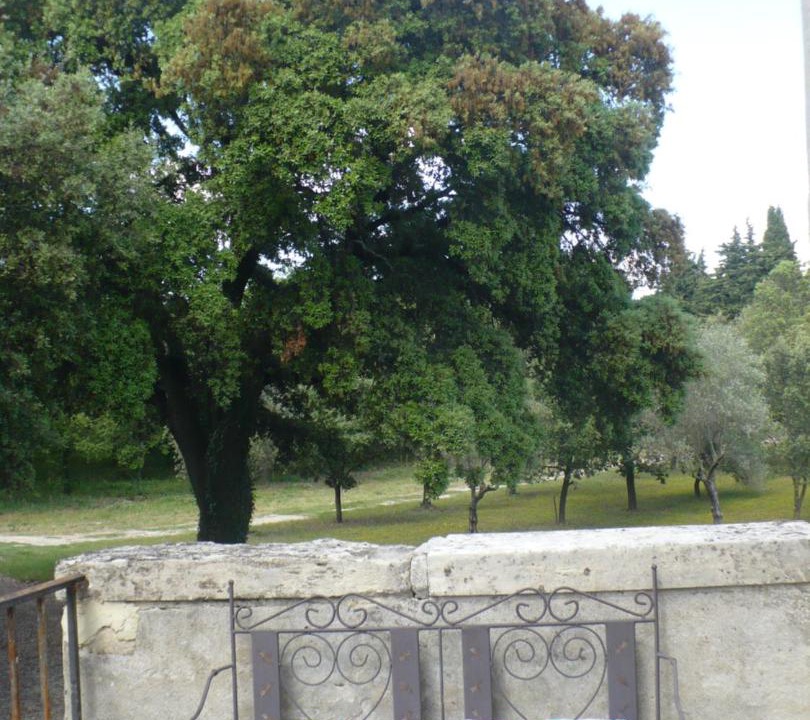 Photo of Others in Grillon