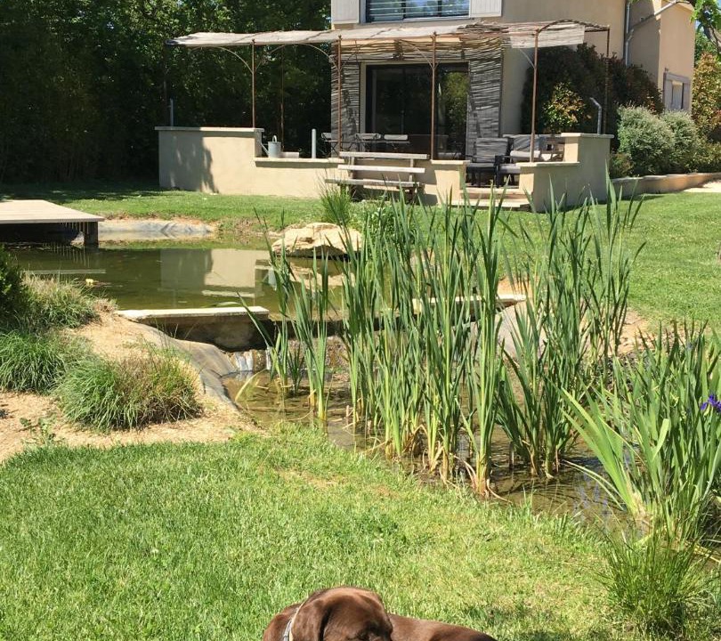 Photo of Others in Saint-Saturnin-les-Apt