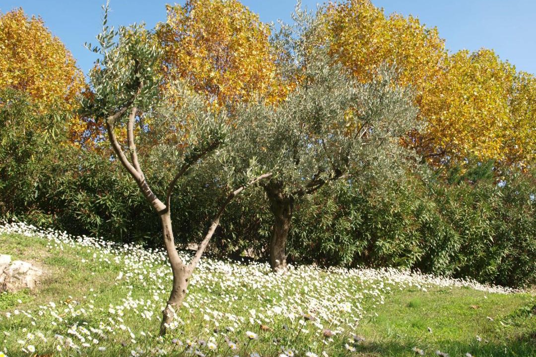 Photo of Others in Figanieres