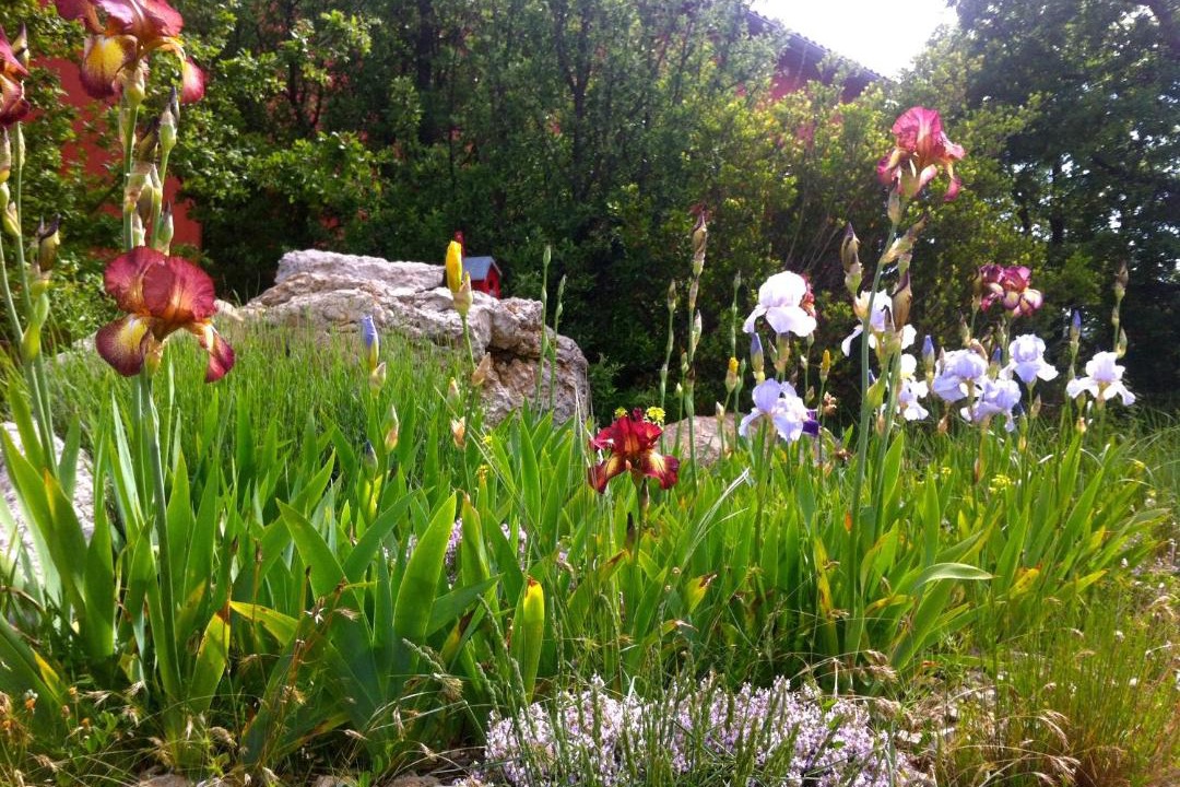 Photo of Others in Plan-d'Aups-Sainte-Baume