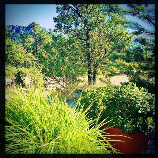 Photo of Others in Plan-d'Aups-Sainte-Baume