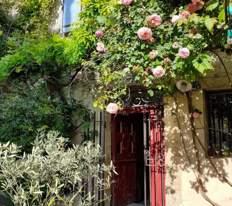 Photo of Others in Saignon