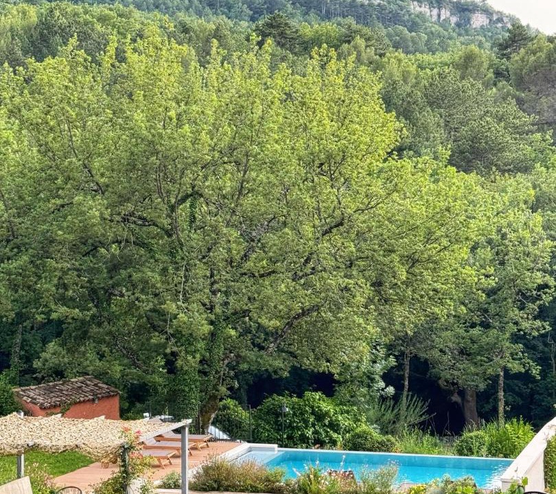 Photo of Others in Saignon