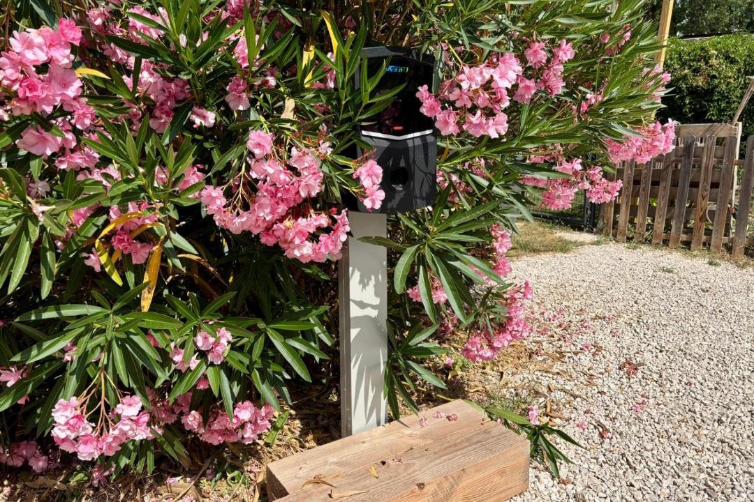 Photo of Outdoor in Tourves