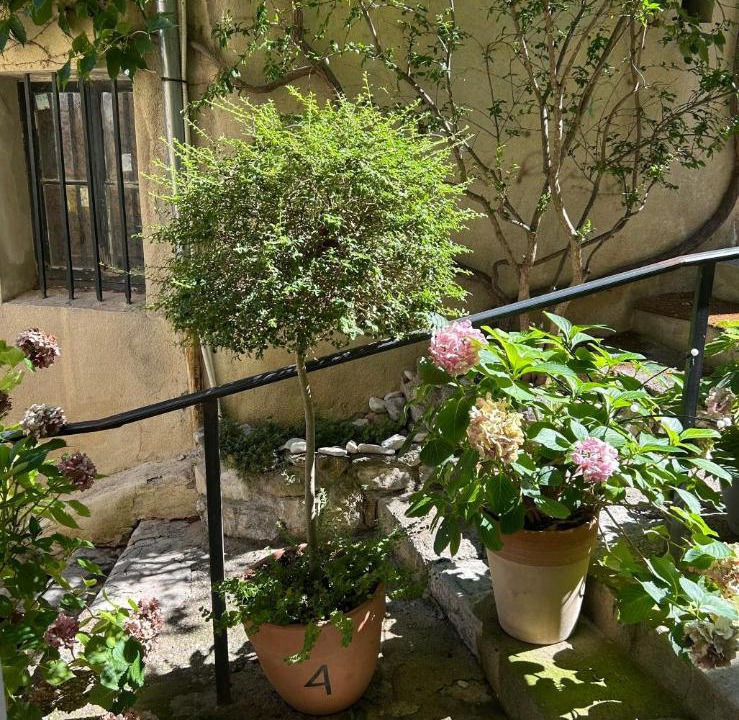 Photo of Others in Vaison-la-Romaine