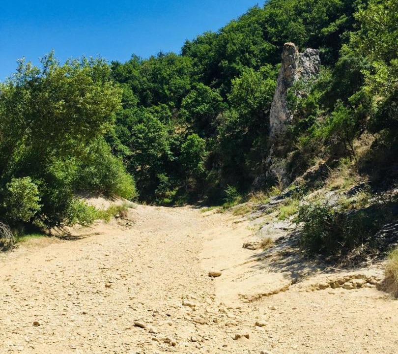 Photo of Others in Saignon