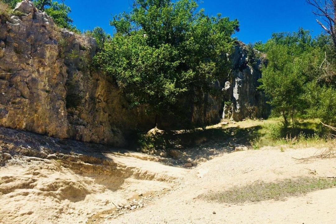 Photo of Others in Saignon