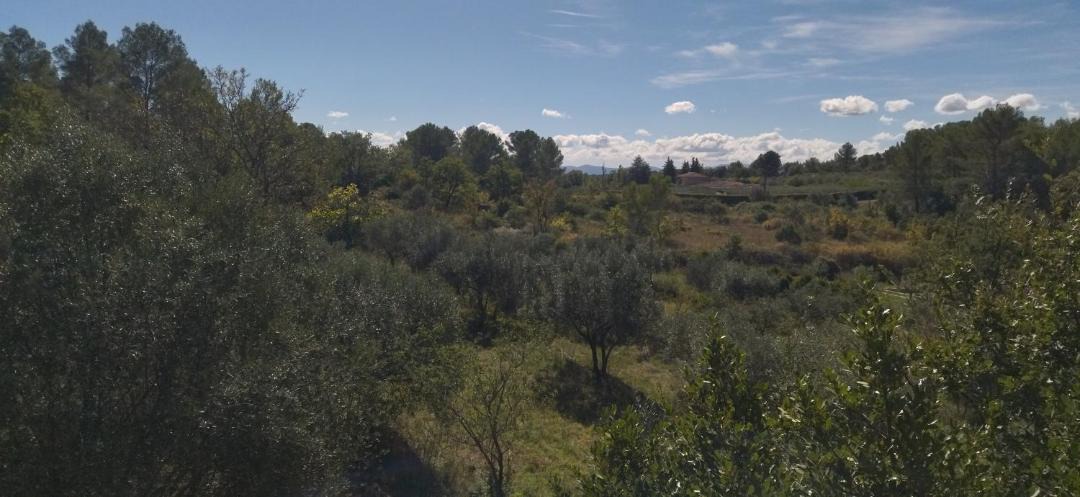 Photo of Others in Draguignan