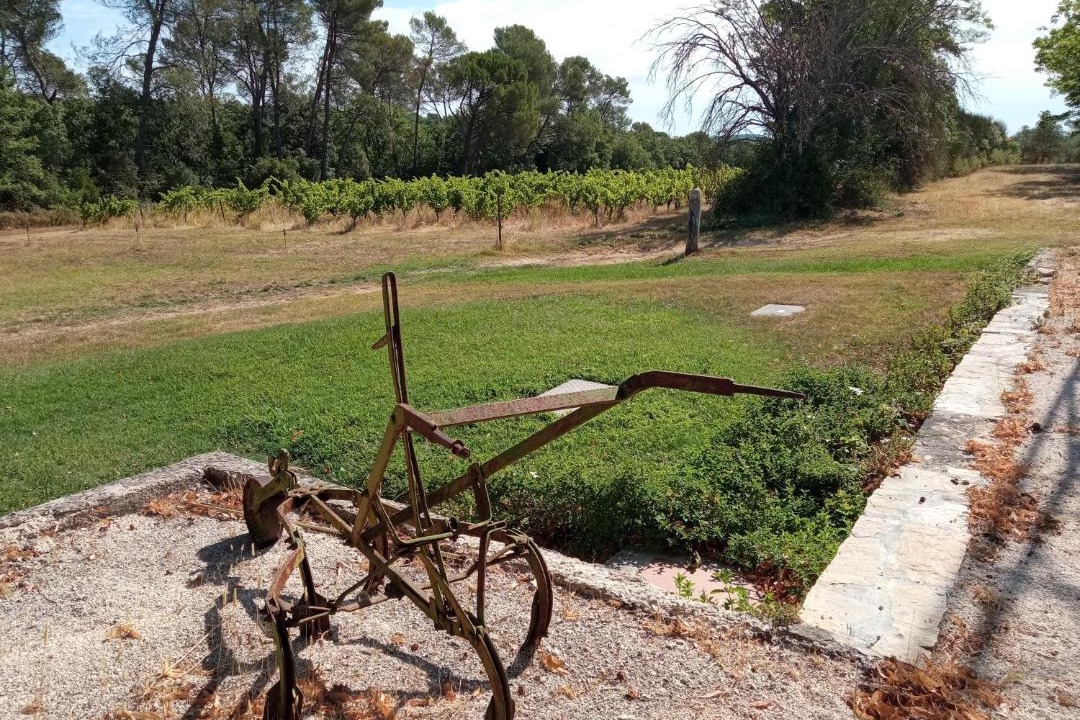 Photo of Others in Brignoles