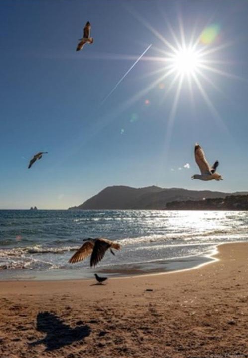 Photo of Others in Les Sablettes