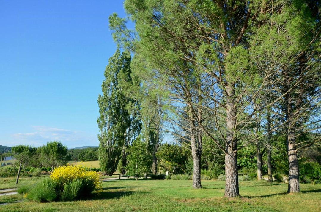 Photo of Outdoor in Cereste