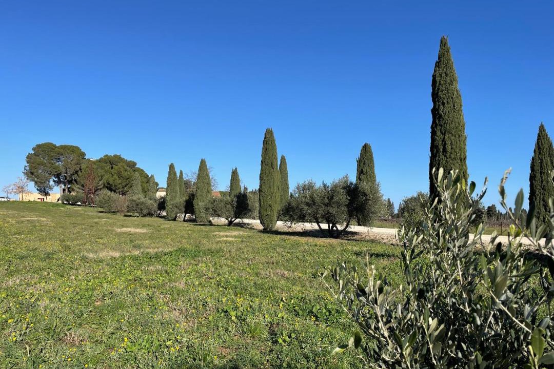 Photo of Others in Montfrin