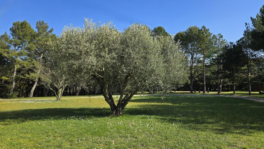Photo of Outdoor in Mondragon