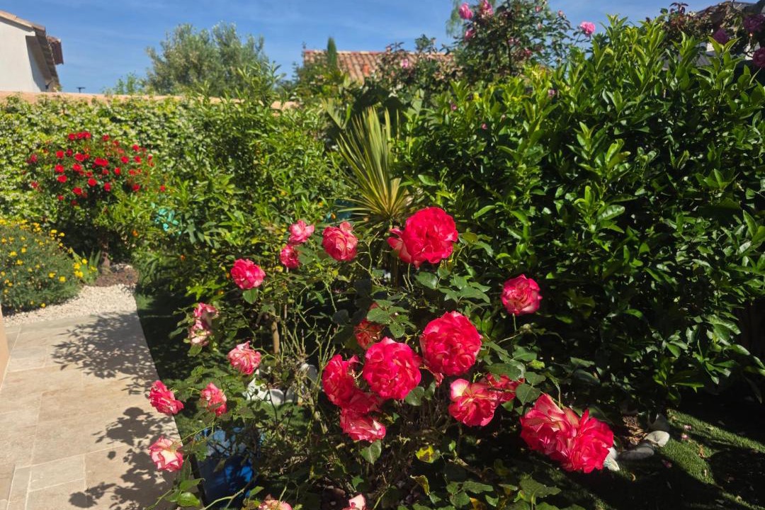 Photo of Others in La Londe-les-Maures