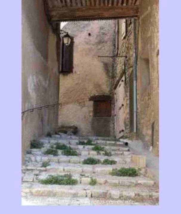 Photo of Others in Saint-Martin-de-Castillon