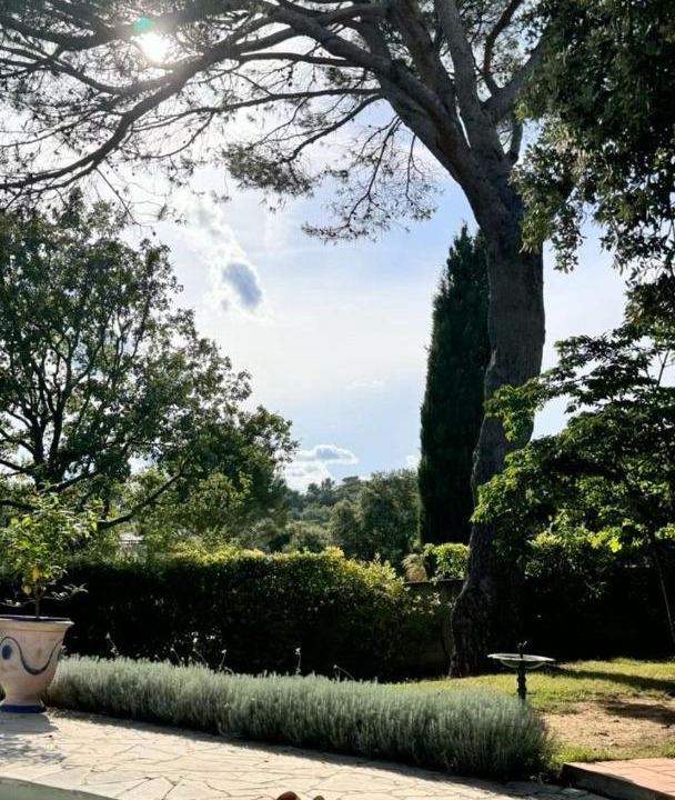 Photo of Others in Piolenc