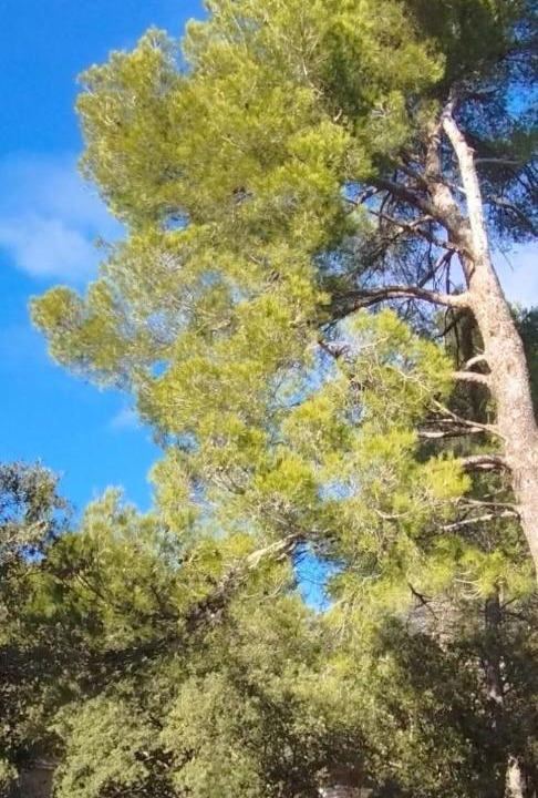 Photo of Outdoor in Entrecasteaux