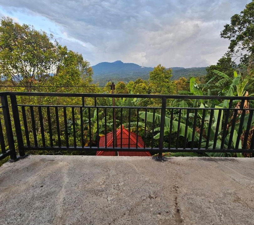 Photo of Patio Balcony in Wanagiri
