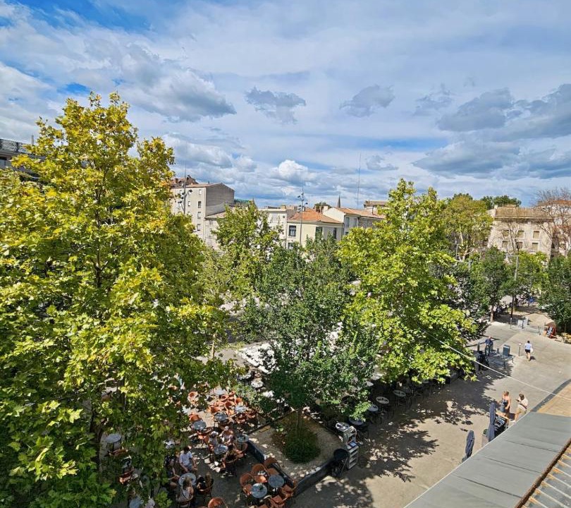 Photo of Others in Avignon City Centre
