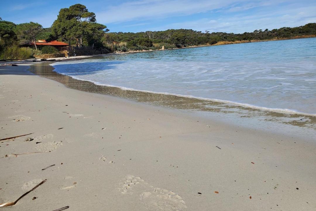 Photo of Others in Porquerolles