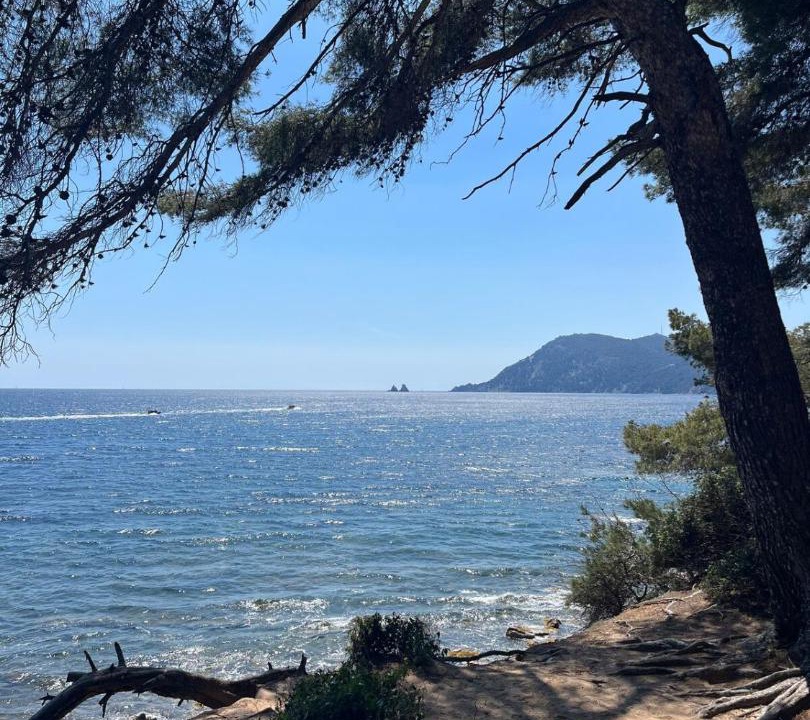 Photo of Others in Saint-Mandrier-sur-Mer