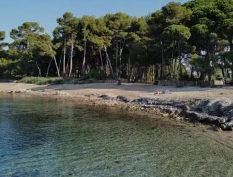 Photo of Others in Saint-Mandrier-sur-Mer