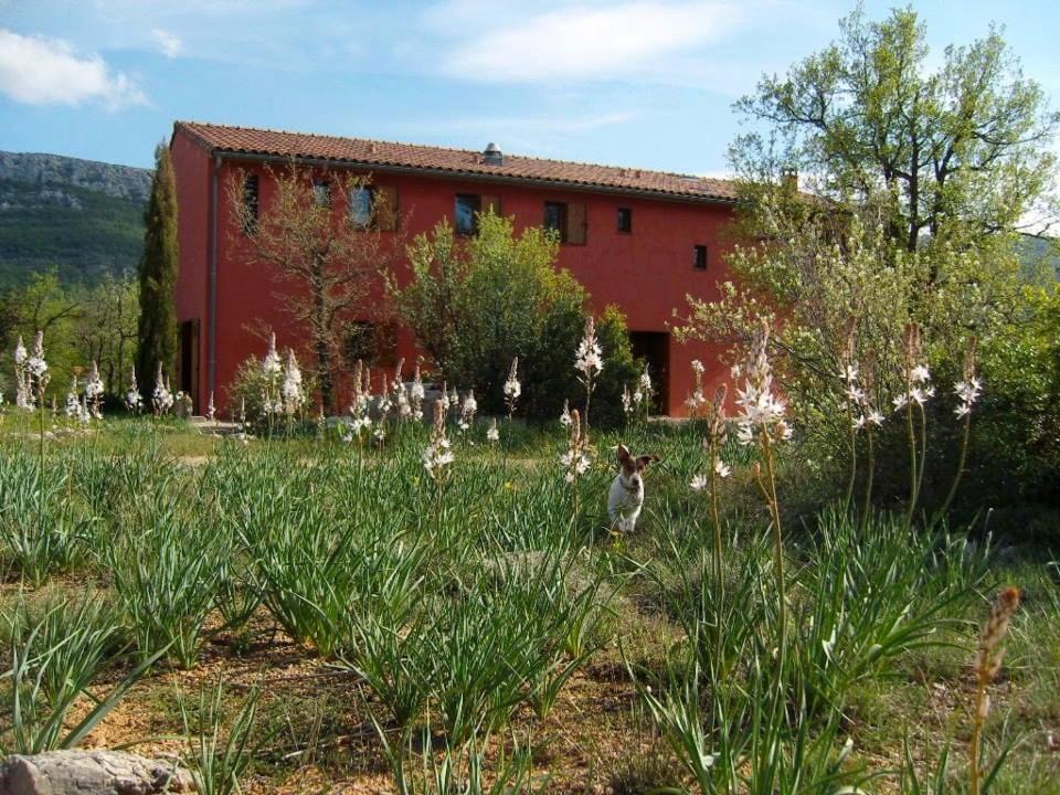Photo of Others in Plan-d'Aups-Sainte-Baume
