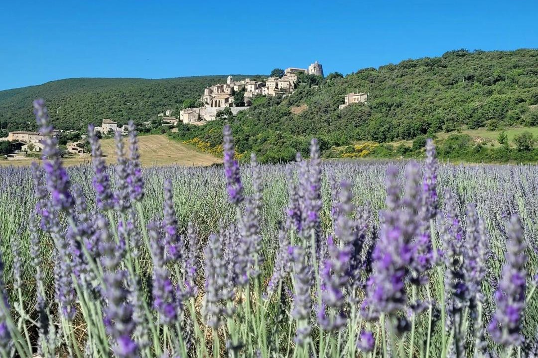 Photo of Others in Simiane-la-Rotonde