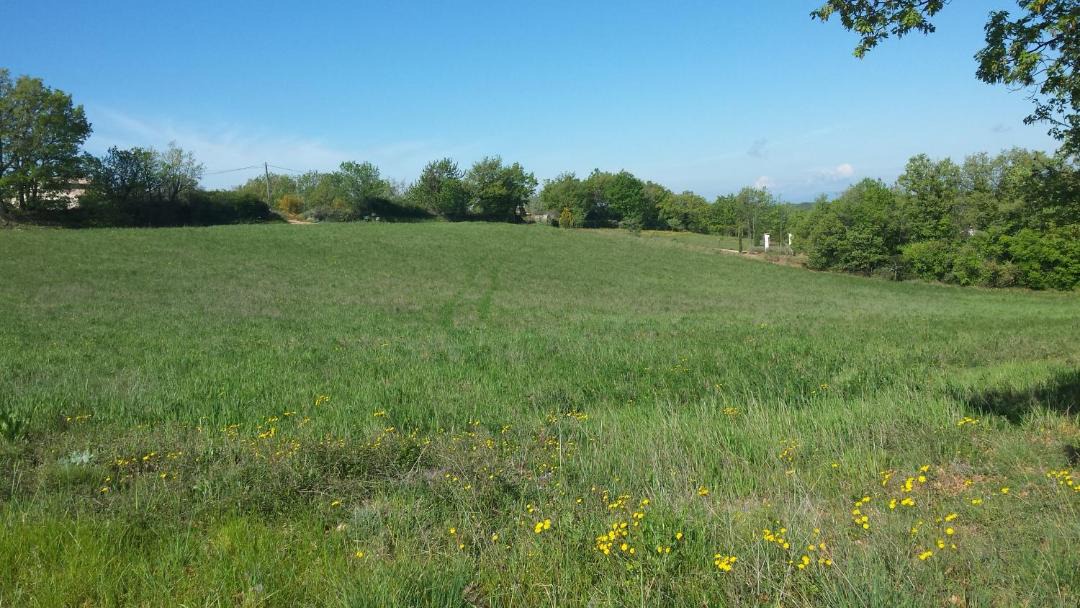 Photo of Others in Montagnac-Montpezat