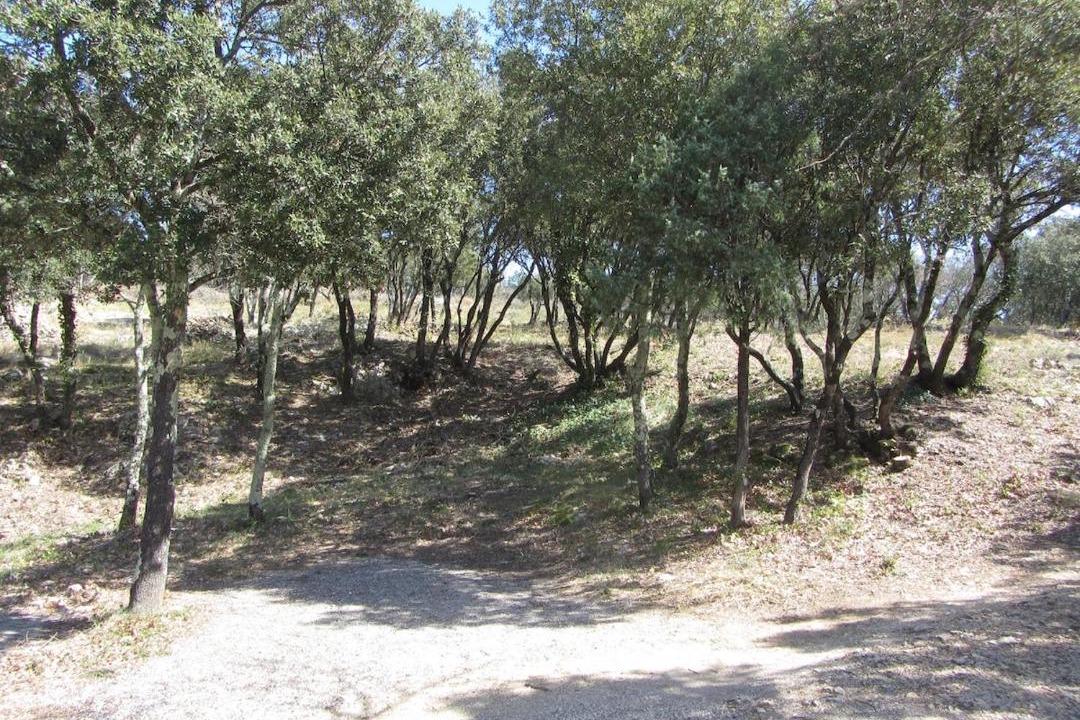 Photo of Others in Navacelles