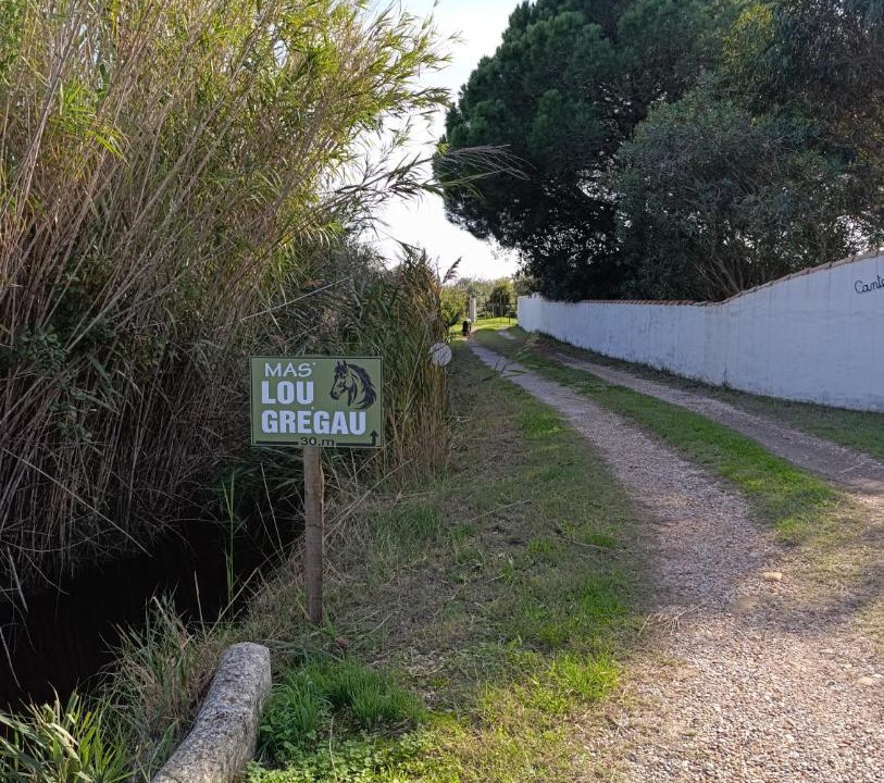 Photo of Others in Saintes-Maries-de-la-Mer