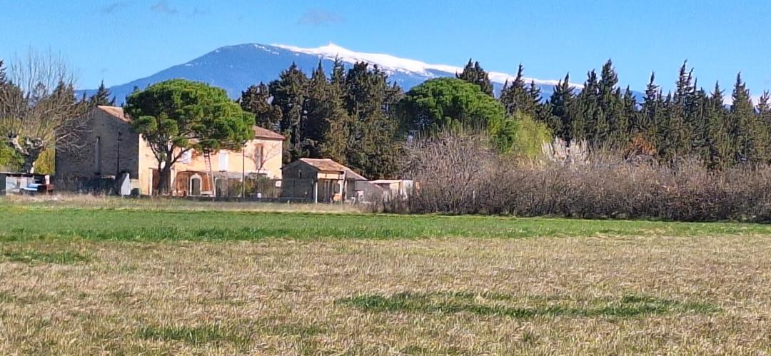 Photo of Others in Monteux