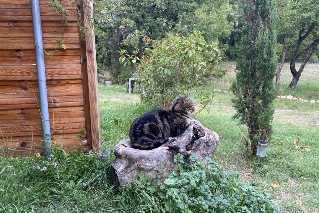Photo of Others in Sisteron