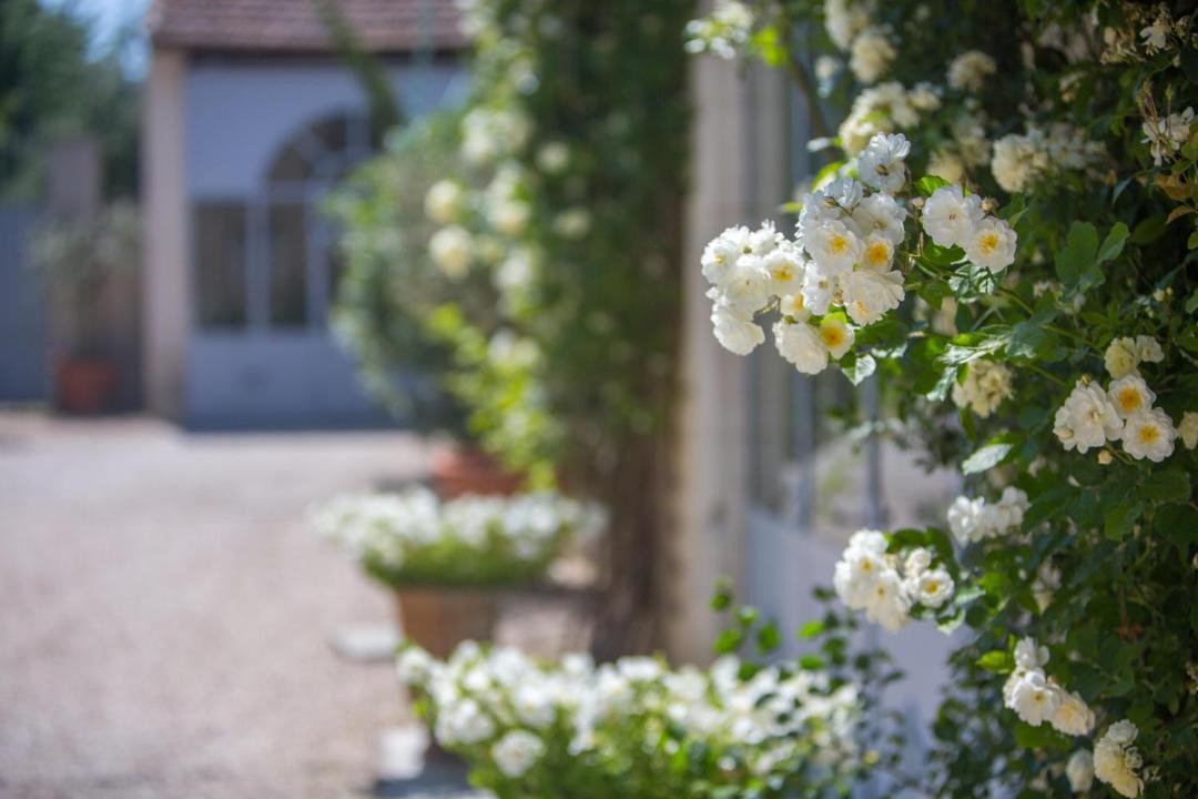 Photo of Others in Chateauneuf-de-Gadagne