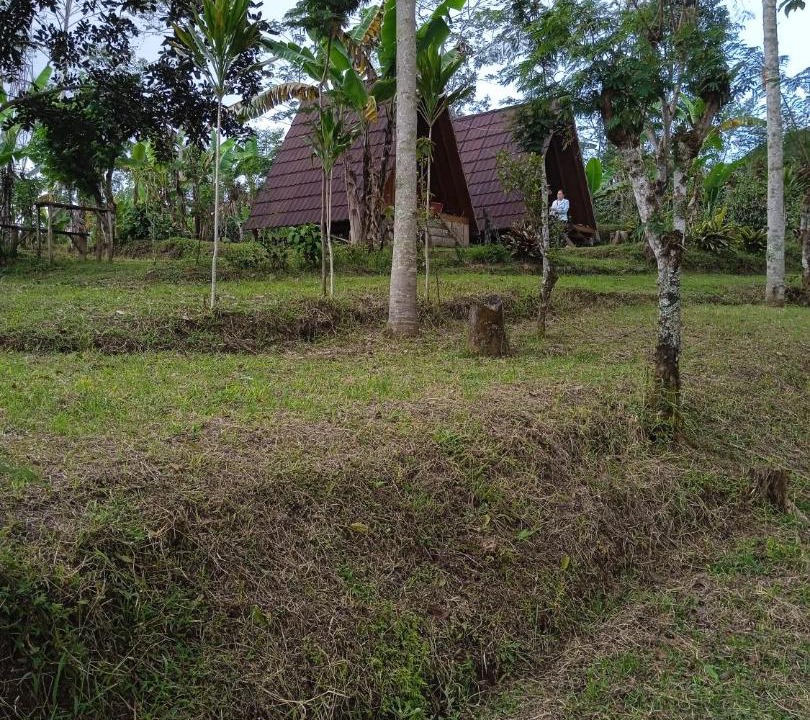 Photo of Others in Wanagiri