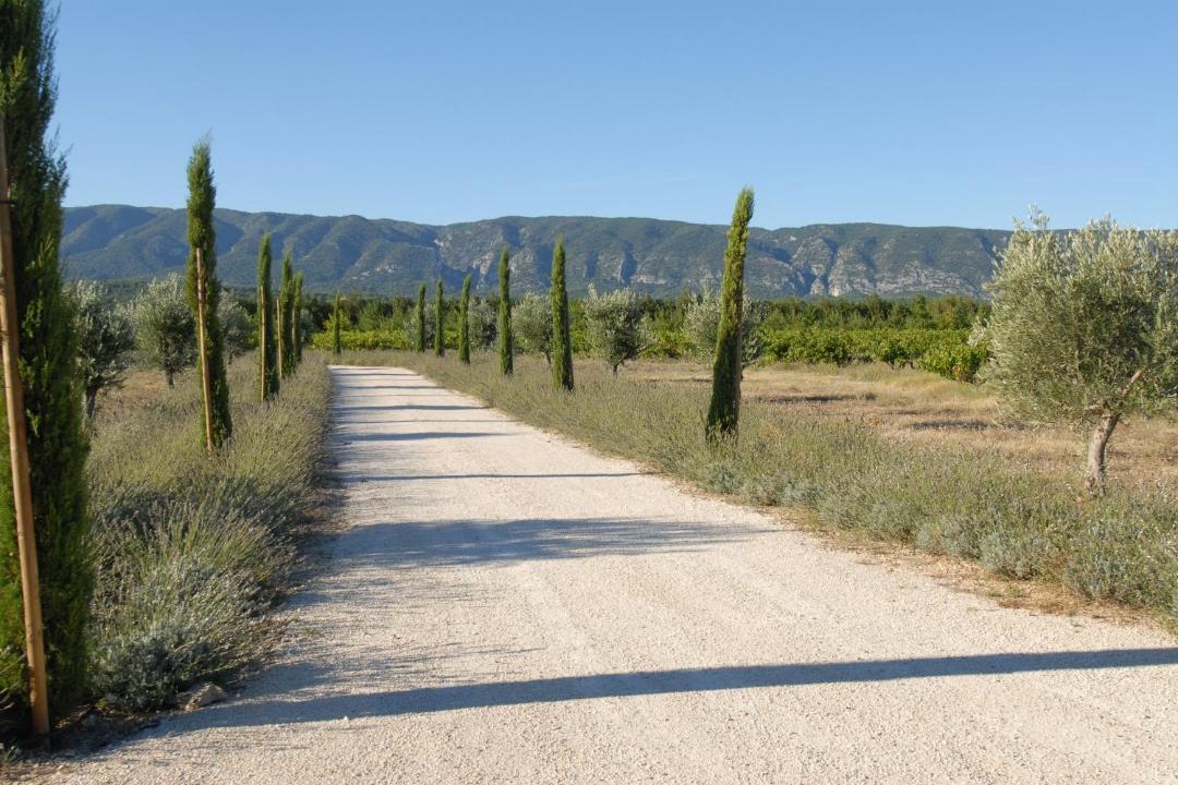 Photo of Others in Cabrieres-d'Avignon