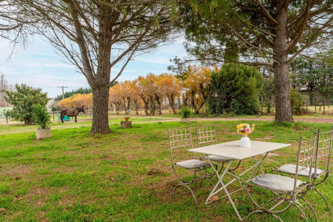 Photo of Others in Beaucaire
